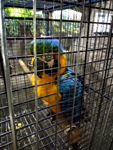 عکس غار آکواریوم گنجنامه