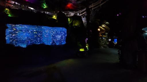 عکس غار آکواریوم گنجنامه