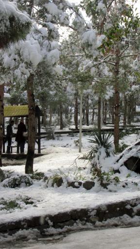 عکس کوه صفه