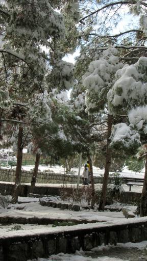 عکس کوه صفه