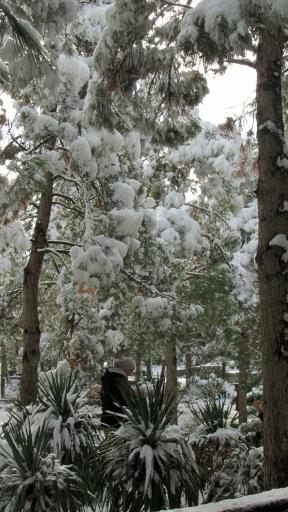 عکس کوه صفه