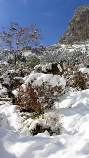 عکس کوه صفه