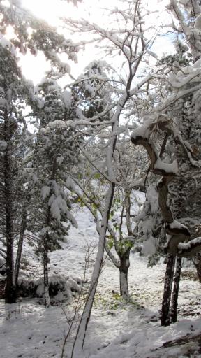عکس کوه صفه