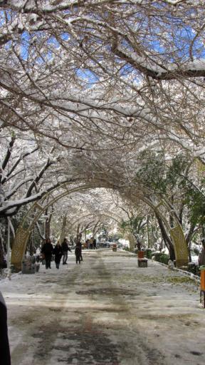 عکس کوه صفه