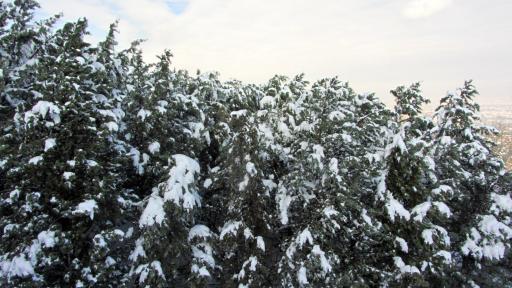 عکس کوه صفه