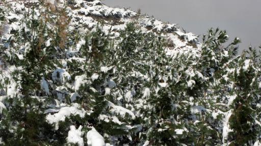 عکس کوه صفه