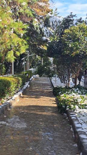 عکس کوه صفه