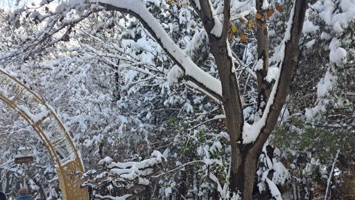 عکس کوه صفه