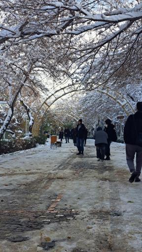 عکس کوه صفه