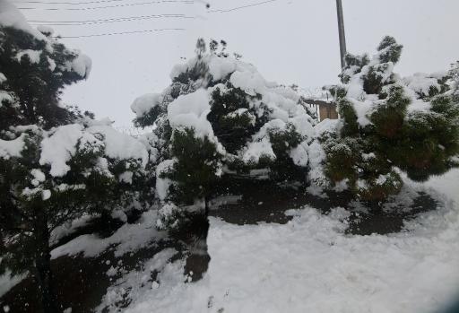 عکس کوه صفه