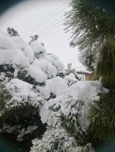 عکس کوه صفه