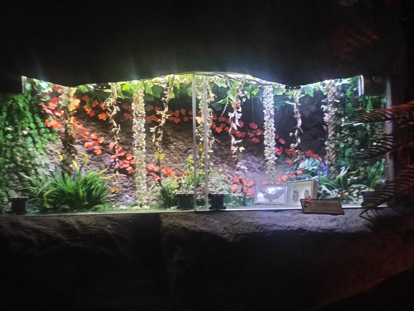 عکس غار آکواریوم گنجنامه