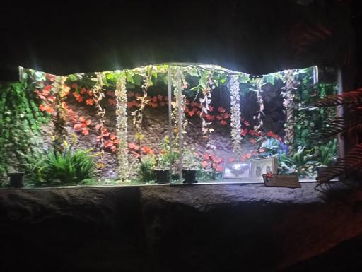 عکس غار آکواریوم گنجنامه
