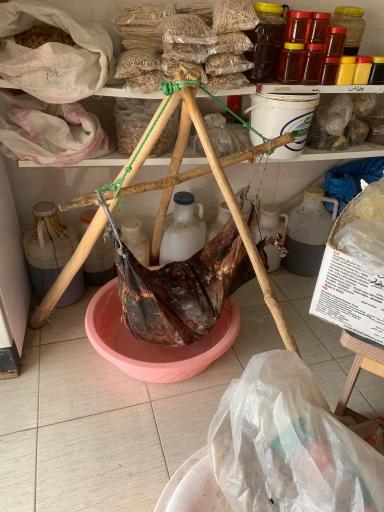 عکس لبنیات حجت