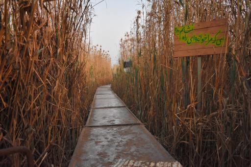 عکس یادمان شهدای عملیات کربلای چهار (علقمه)