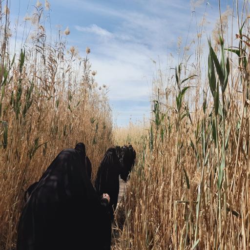 عکس یادمان شهدای عملیات کربلای چهار (علقمه)