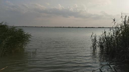 عکس یادمان شهدای عملیات کربلای چهار (علقمه)