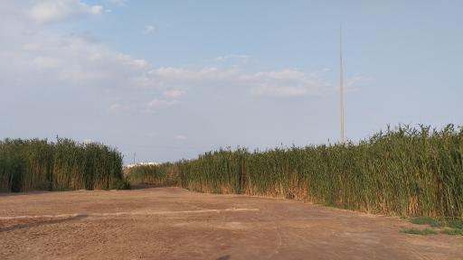 عکس یادمان شهدای عملیات کربلای چهار (علقمه)