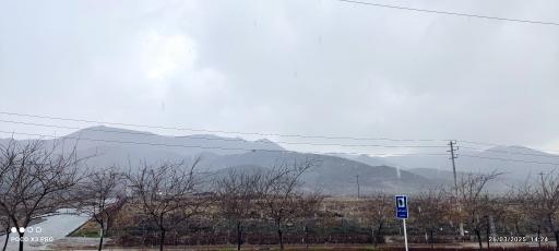 عکس تقاطع نماز و دلاوران