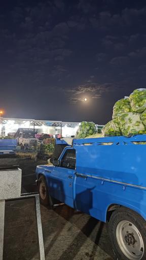 عکس میدان میوه و تره بار زنجان