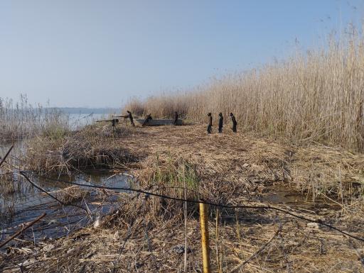 عکس یادمان شهدای عملیات کربلای چهار (علقمه)