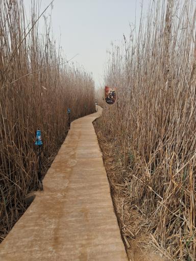 عکس یادمان شهدای عملیات کربلای چهار (علقمه)