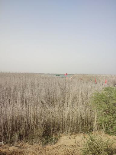 عکس یادمان شهدای عملیات کربلای چهار (علقمه)