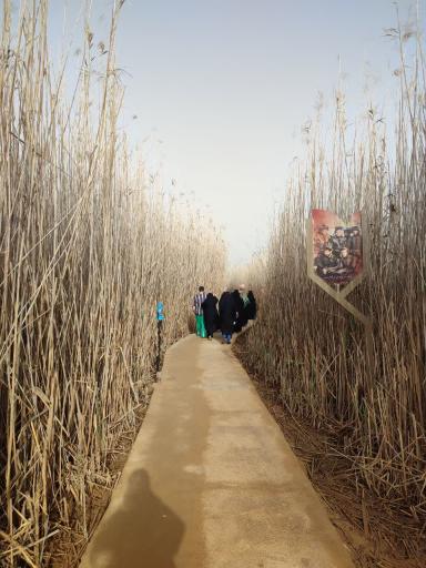 عکس یادمان شهدای عملیات کربلای چهار (علقمه)