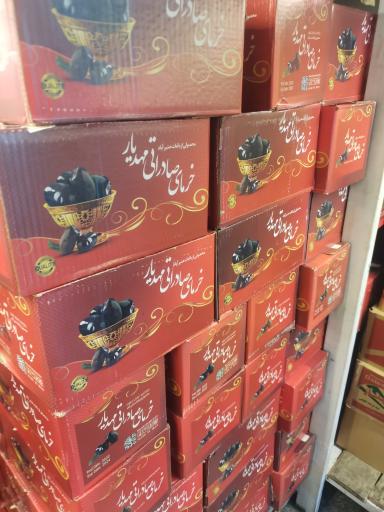 عکس رطب ثامن