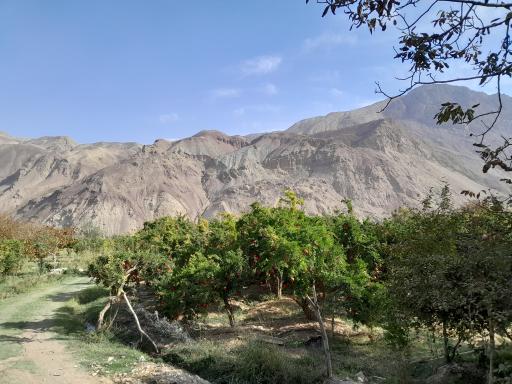 عکس محمودآباد
