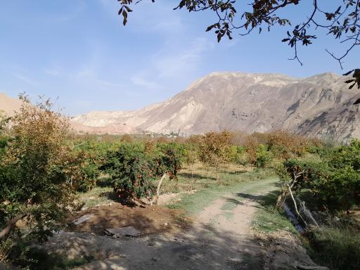 عکس محمودآباد