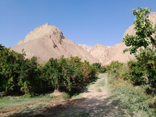 عکس محمودآباد