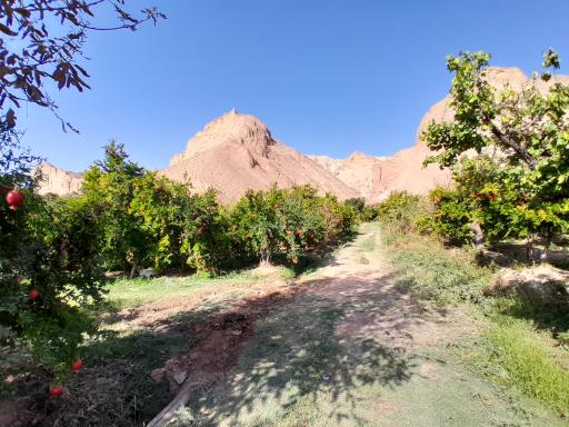 عکس محمودآباد