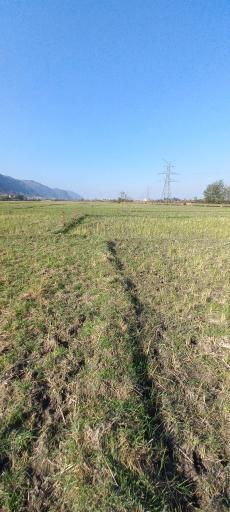 عکس زمین ورزشی چند منظوره  شهدای روستای ملاط