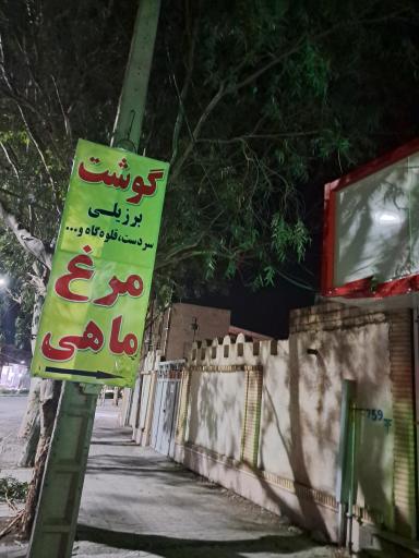 عکس مرغ وماهی وگوشت برزیلی قلعه خانی