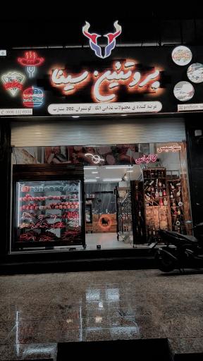 عکس پروتئین سینا