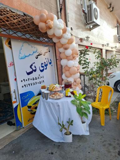 عکس بانوی تک 