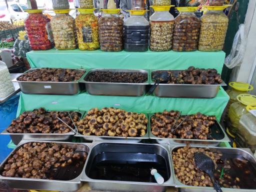 عکس زیتون سرای موسوی 