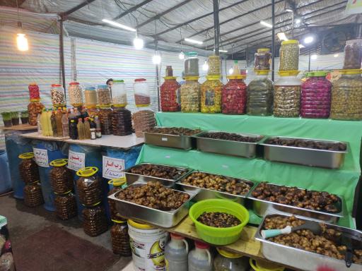 عکس زیتون سرای موسوی 