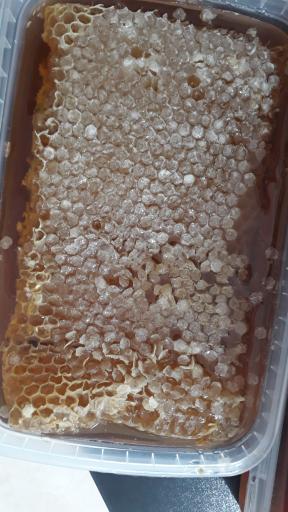 عکس فروشگاه لبنیات دهکده