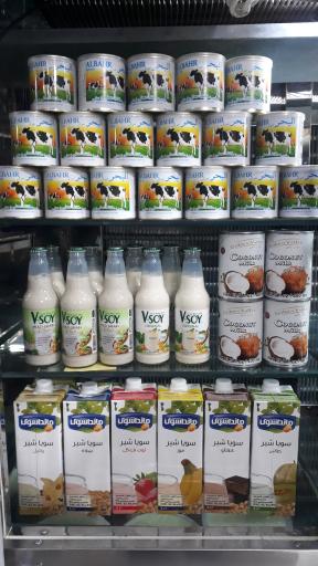 عکس فروشگاه لبنیات دهکده