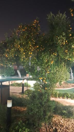 عکس استخر هتل بادله ساری