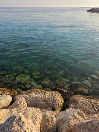 عکس اسکله عسلویه