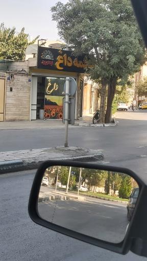 عکس تخمه داغ آفتاب