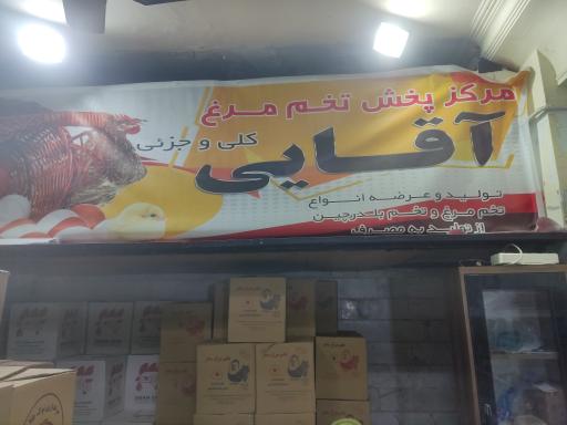 پخش تخم مرغ آقائی