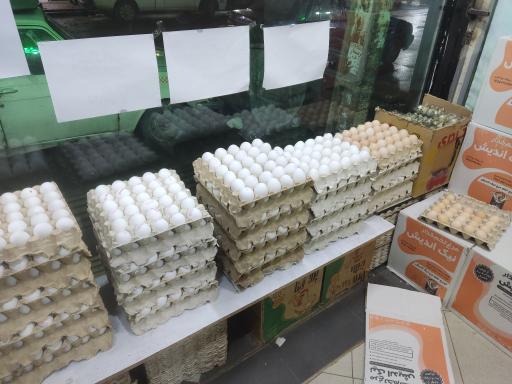 پخش تخم مرغ آقائی