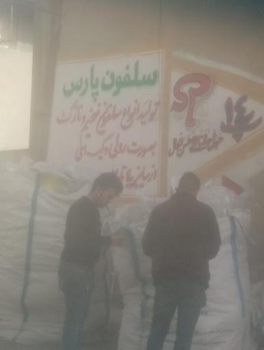 عکس سلفون پارس