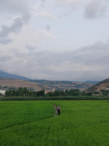 عکس رستم آباد