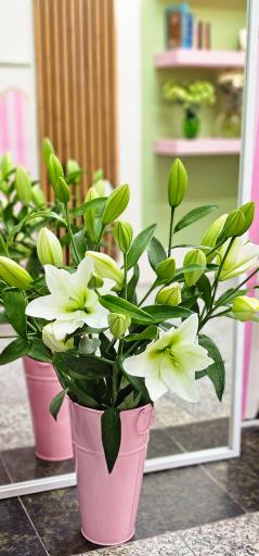 عکس گلفروشی پسته