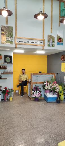 عکس خان عسل (مرکز تخصصی فرآورده های زنبور عسل)